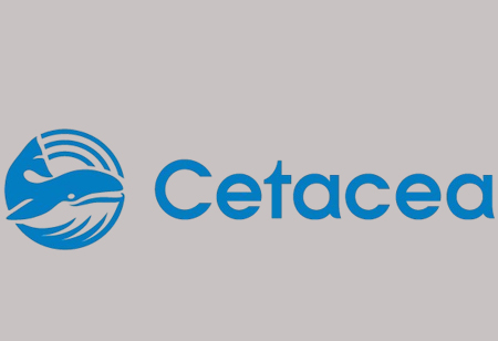 Cetacea Sound: Building a Sound Field of Intelligibility for Every Student in Every Classroom