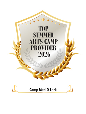 Top Summer Arts Camp Provider 2026